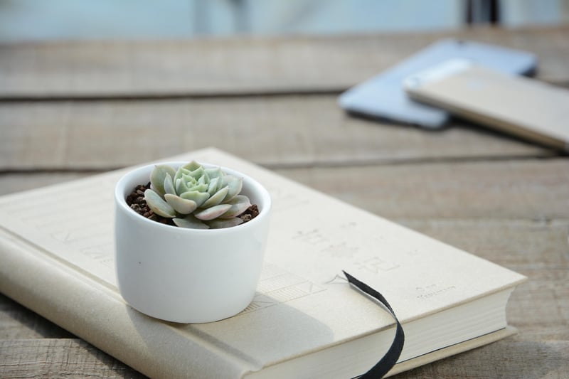 Flower Pot